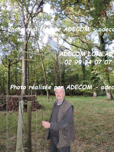 http://v2.adecom-photo.com/images//1.RALLYCROSS/2021/RALLYCROSS_FALEYRAS_2021/SUPER_CAR/DUBOURG_Andrea/DSCN8452.JPG